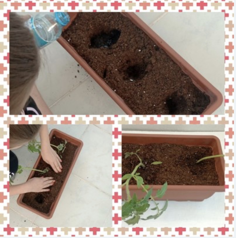 We love plants! Recipes Km0 with fruit and vegetables of our vegetable garden by Luisa - Ourboox.com