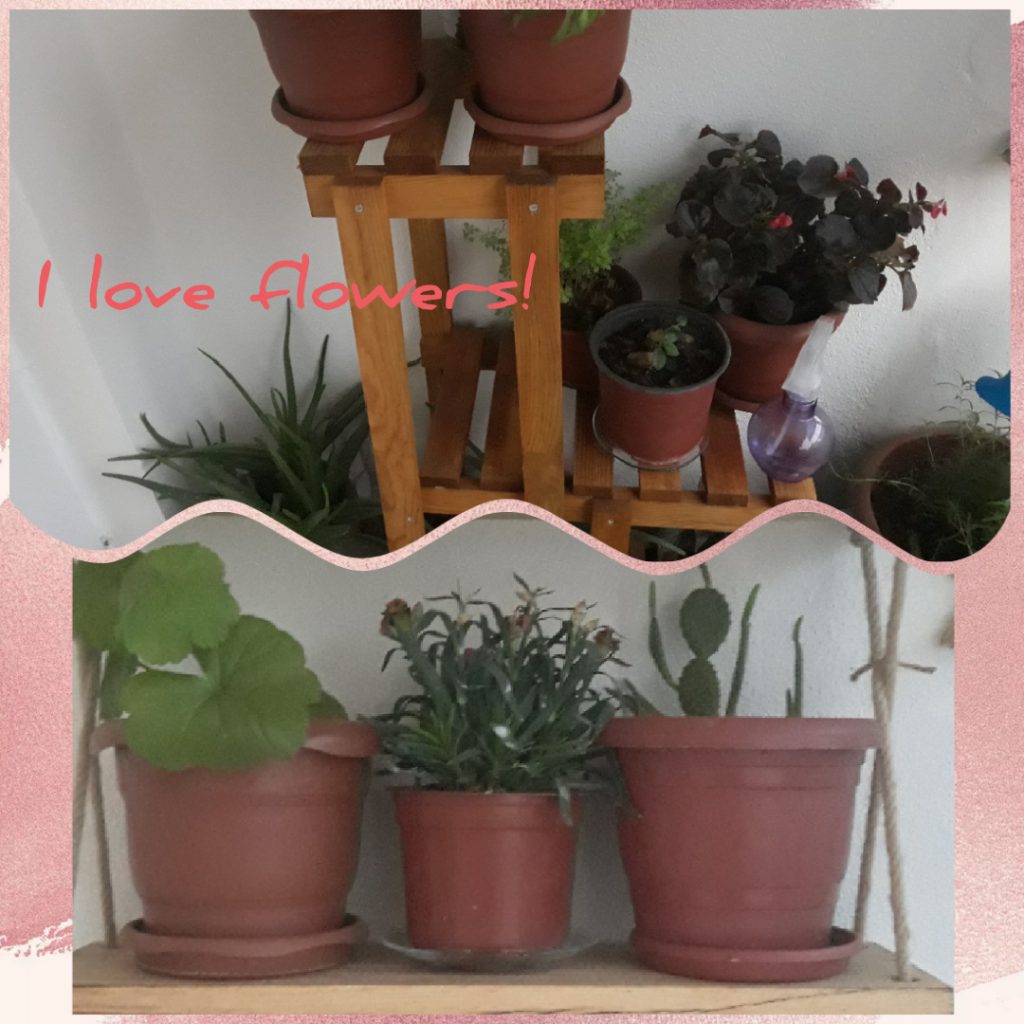 We love plants! Recipes Km0 with fruit and vegetables of our vegetable garden by Luisa - Ourboox.com