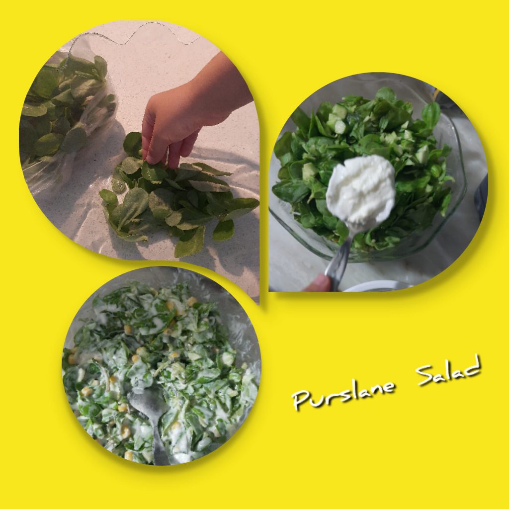 We love plants! Recipes Km0 with fruit and vegetables of our vegetable garden by Luisa - Ourboox.com