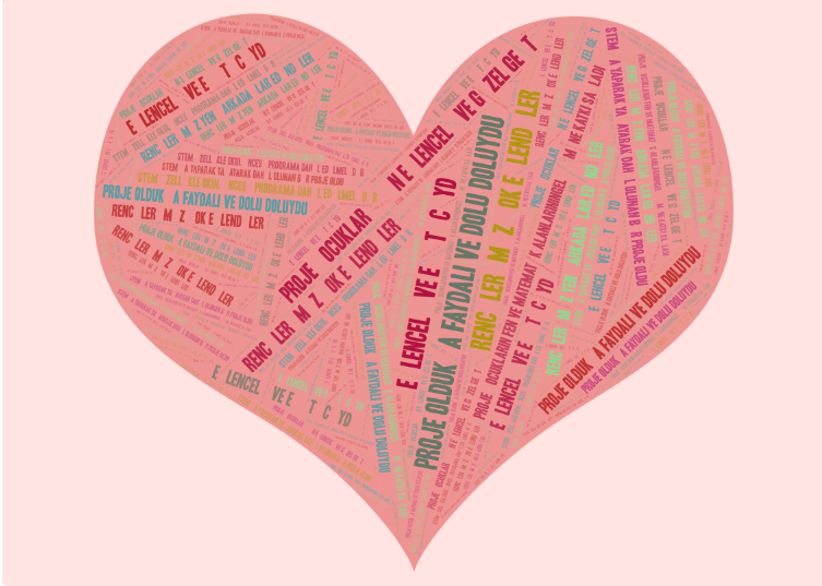 STEM ÖĞRETMEN SON ANKET DEĞERLENDİRME by Lale - Ourboox.com