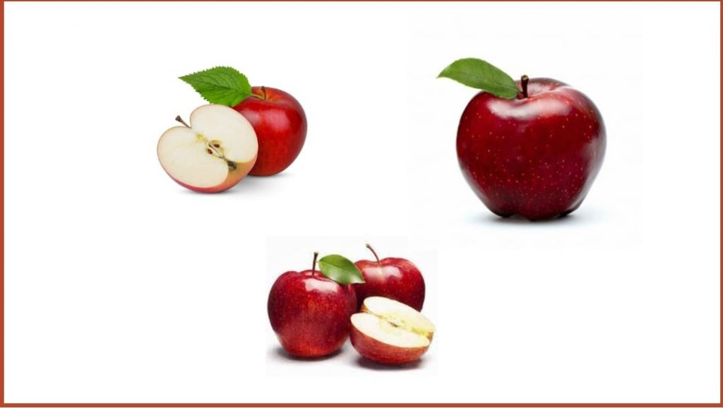 الكسور البسيطة by nida ahmad - Ourboox.com