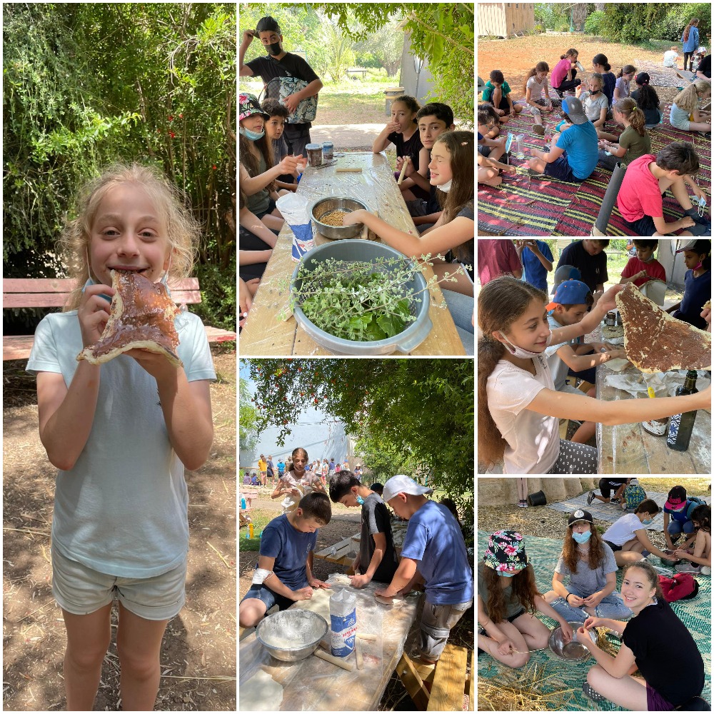 מביכורי החיטה by michal hunga - Ourboox.com