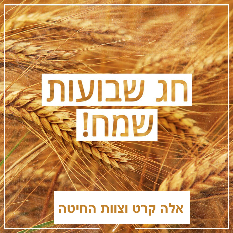 מביכורי החיטה by michal hunga - Ourboox.com