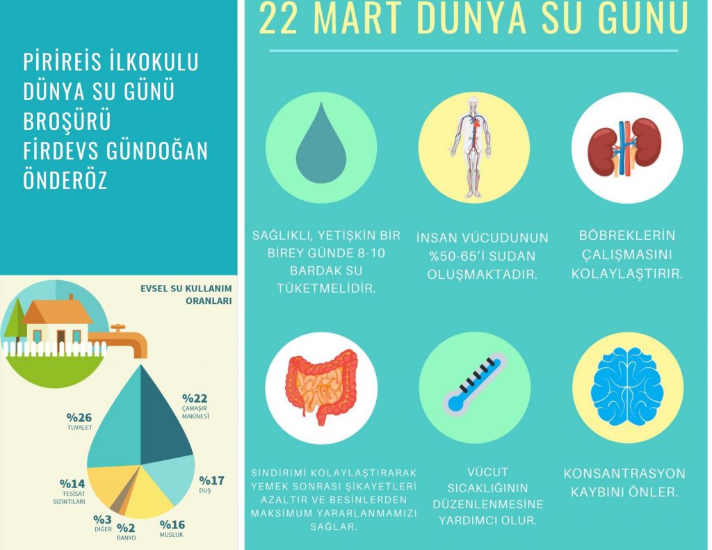 EKO OKULUM&EKO EVİM(MY ECO SCHOOL&MY ECO HOME) BROŞÜR E BOOK by selverb. - Ourboox.com
