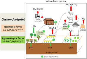 Forest footprint grassland footprint agriculture footprint by sevda yücde - Ourboox.com