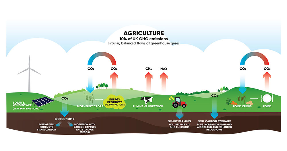 Forest footprint grassland footprint agriculture footprint by sevda yücde - Ourboox.com