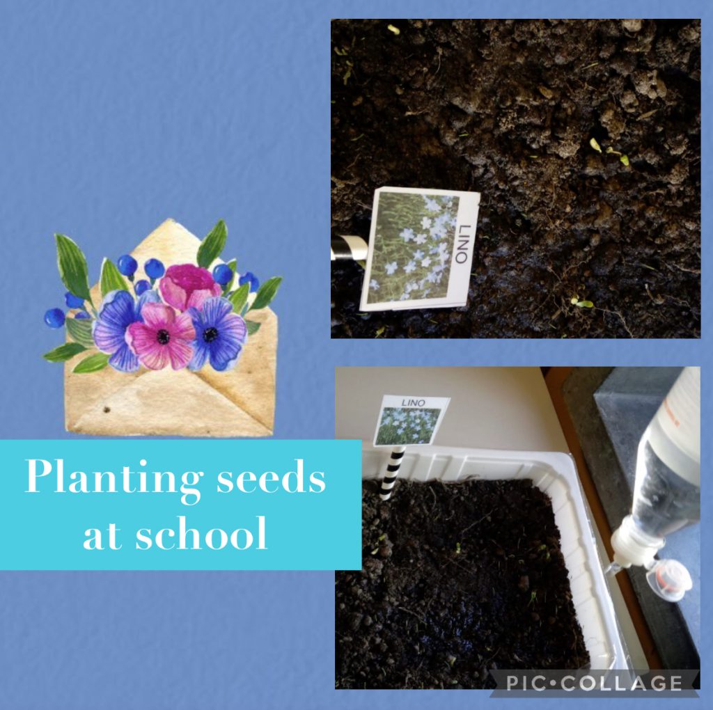 We love plants! Recipes Km0 with fruit and vegetables of our vegetable garden by Luisa - Ourboox.com