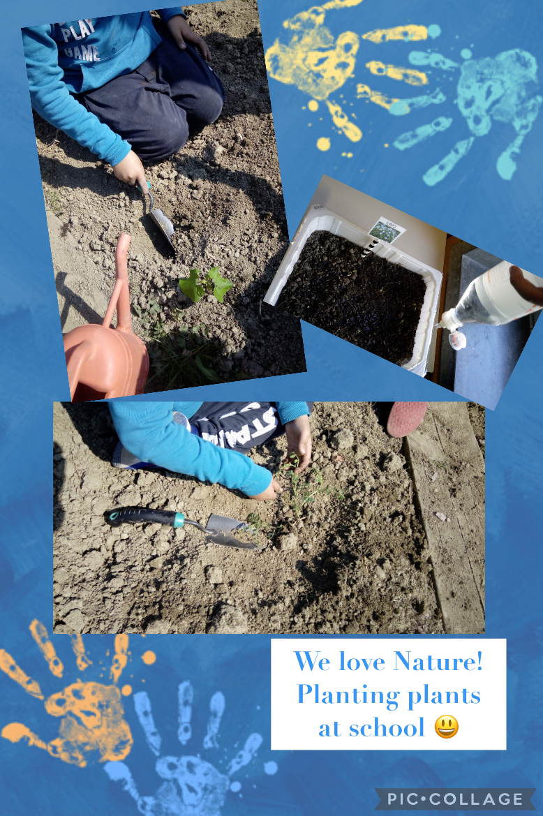 We love plants! Recipes Km0 with fruit and vegetables of our vegetable garden by Luisa - Ourboox.com