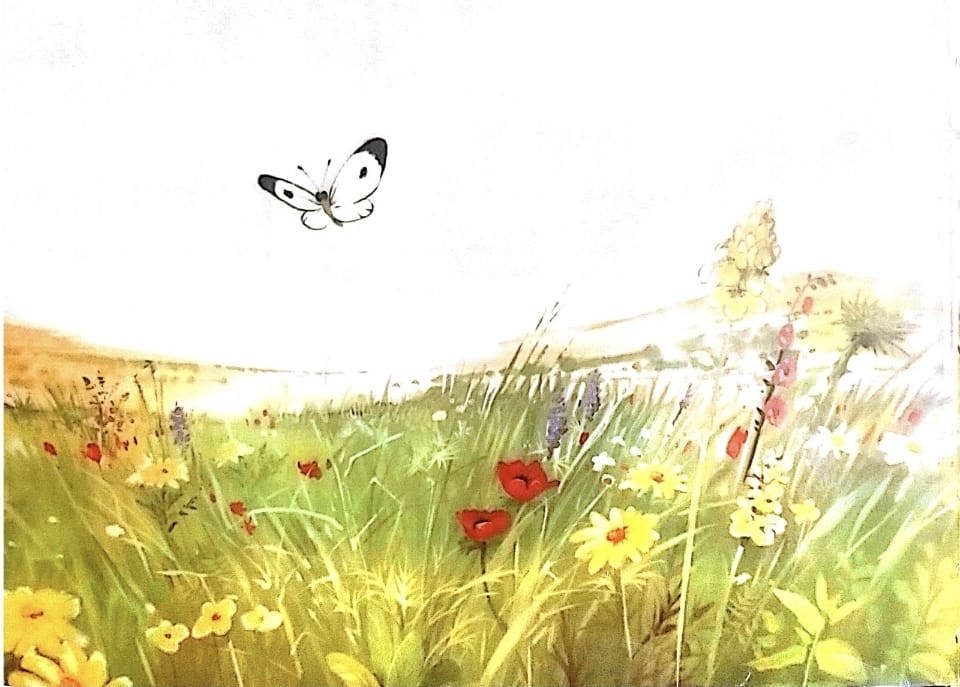 الفراشات الثلاث by lina geires - Ourboox.com