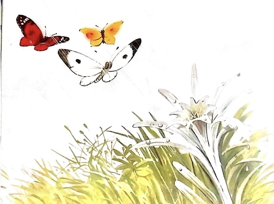 الفراشات الثلاث by lina geires - Ourboox.com