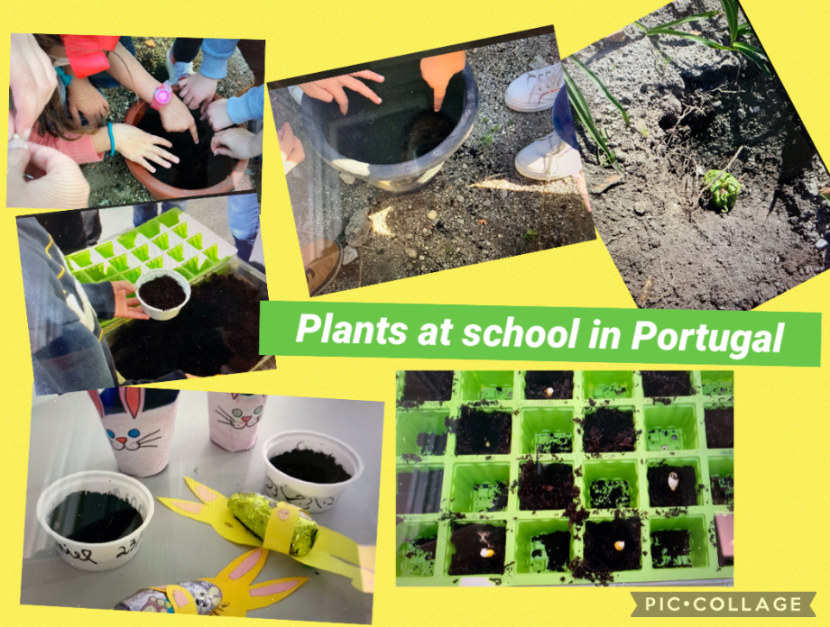 We love plants! Recipes Km0 with fruit and vegetables of our vegetable garden by Luisa - Ourboox.com