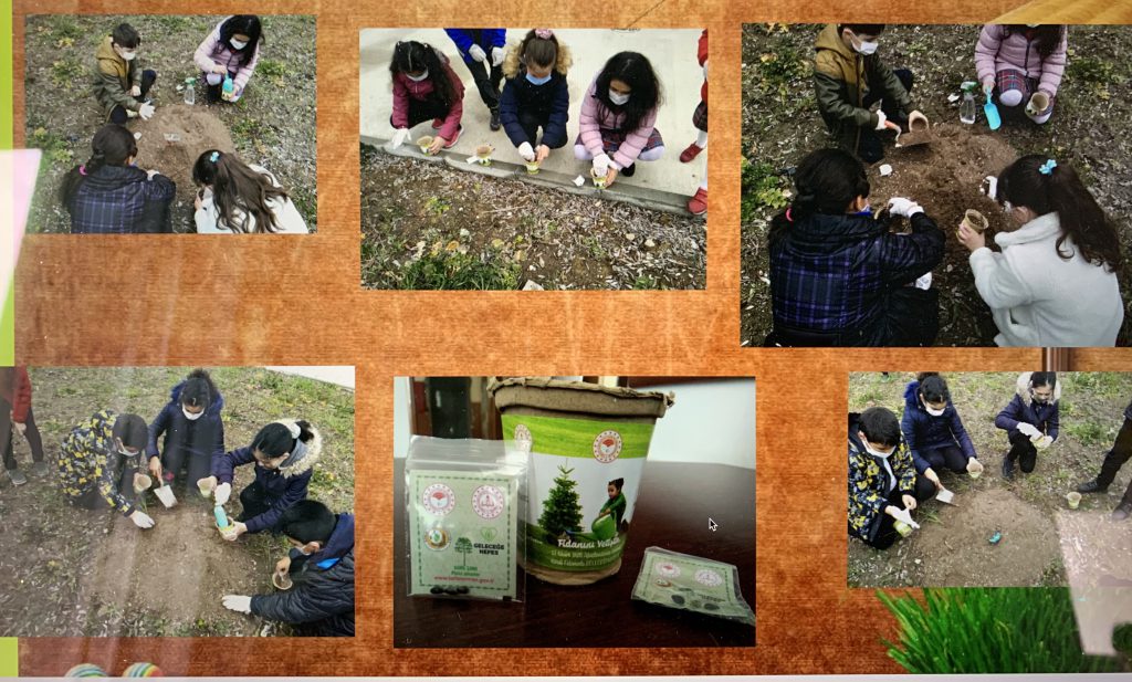 We love plants! Recipes Km0 with fruit and vegetables of our vegetable garden by Luisa - Ourboox.com