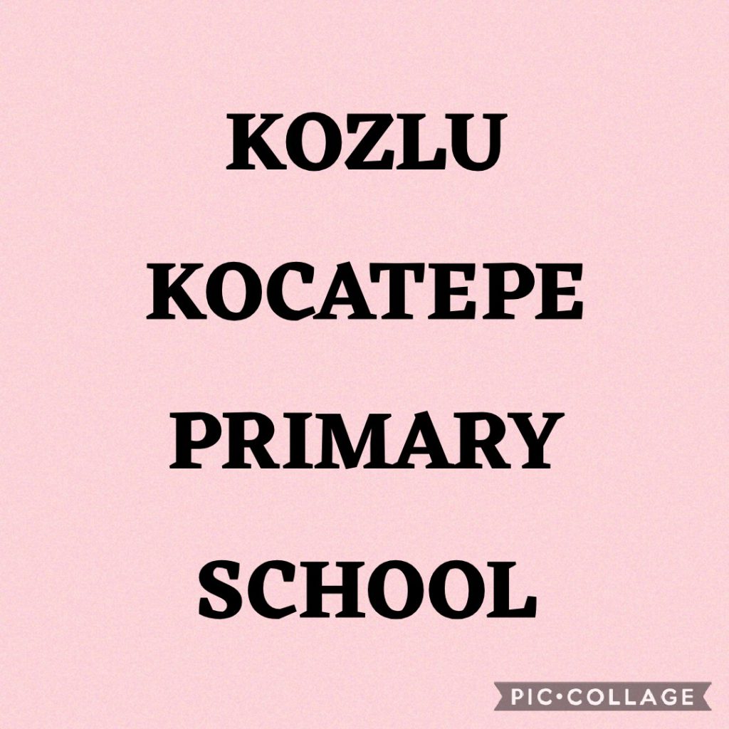 VIRTUAL CLASSROOM by Dilek  - Ourboox.com