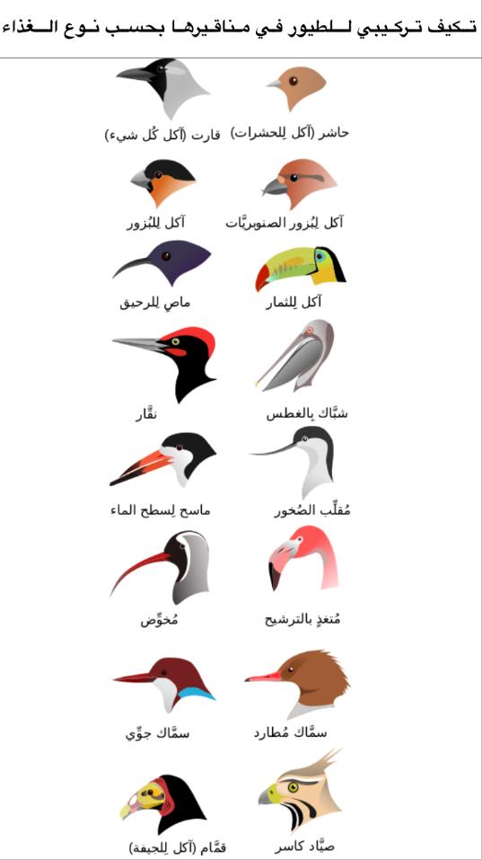 (المنظومات البيئيه (للصف السادس by Sofia Fawaz Assi - Ourboox.com