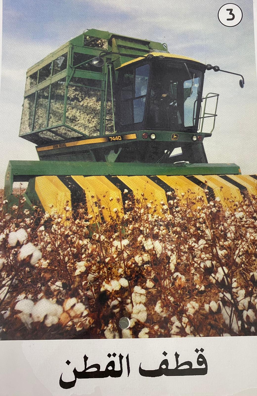 زهرة القطن by laila sassine - Illustrated by ليلى ساسين - Ourboox.com