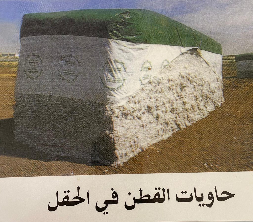 زهرة القطن by laila sassine - Illustrated by ليلى ساسين - Ourboox.com