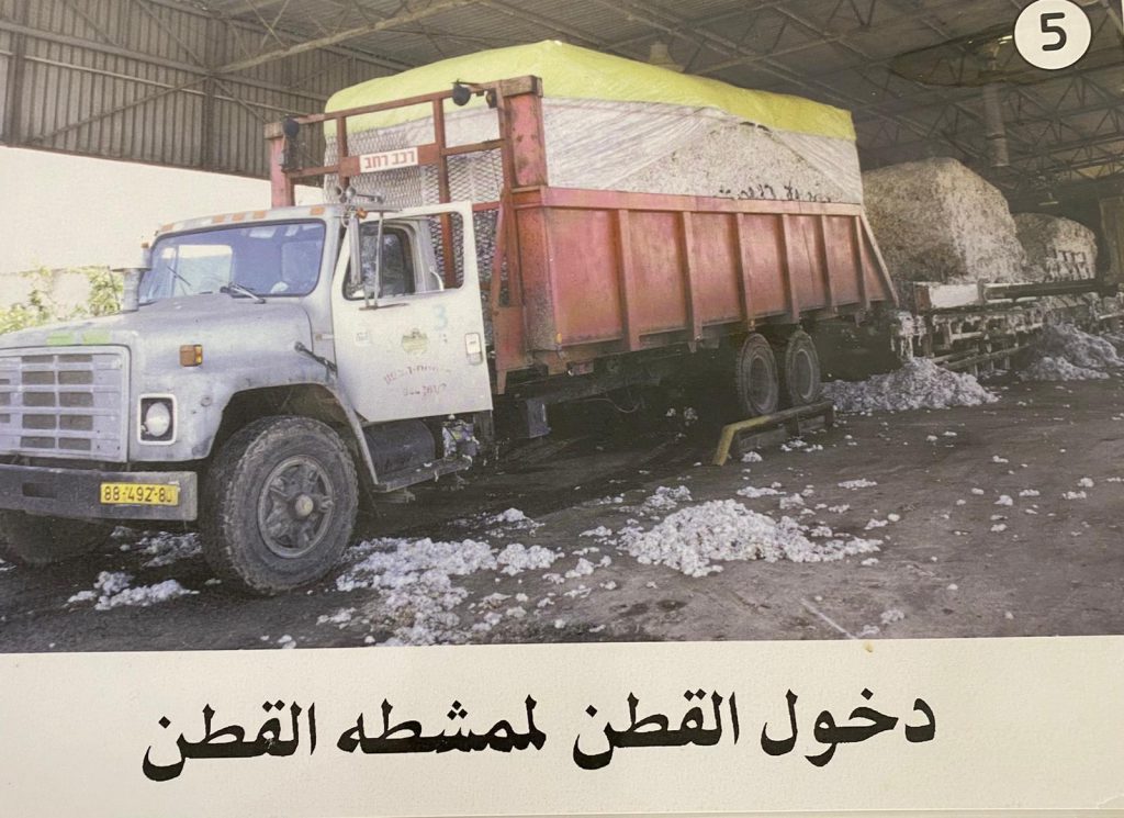 زهرة القطن by laila sassine - Illustrated by ليلى ساسين - Ourboox.com