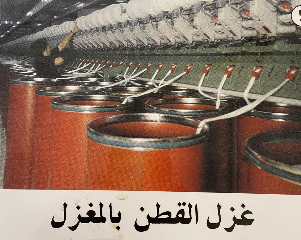 زهرة القطن by laila sassine - Illustrated by ليلى ساسين - Ourboox.com