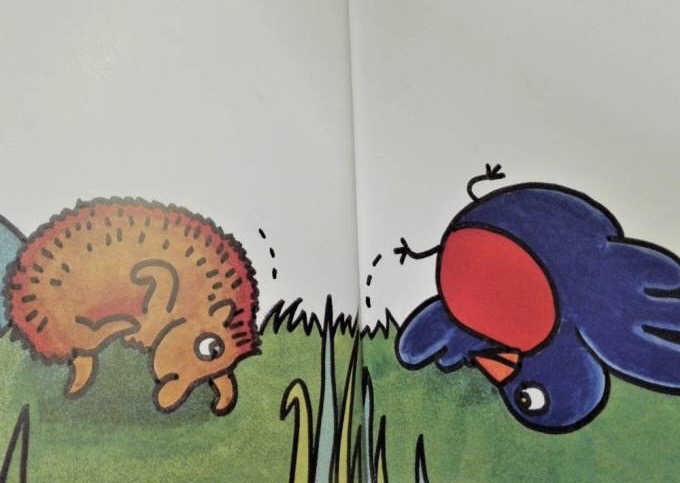 Pippo pettirosso fa un giretto by Elisa Salerno - Ourboox.com