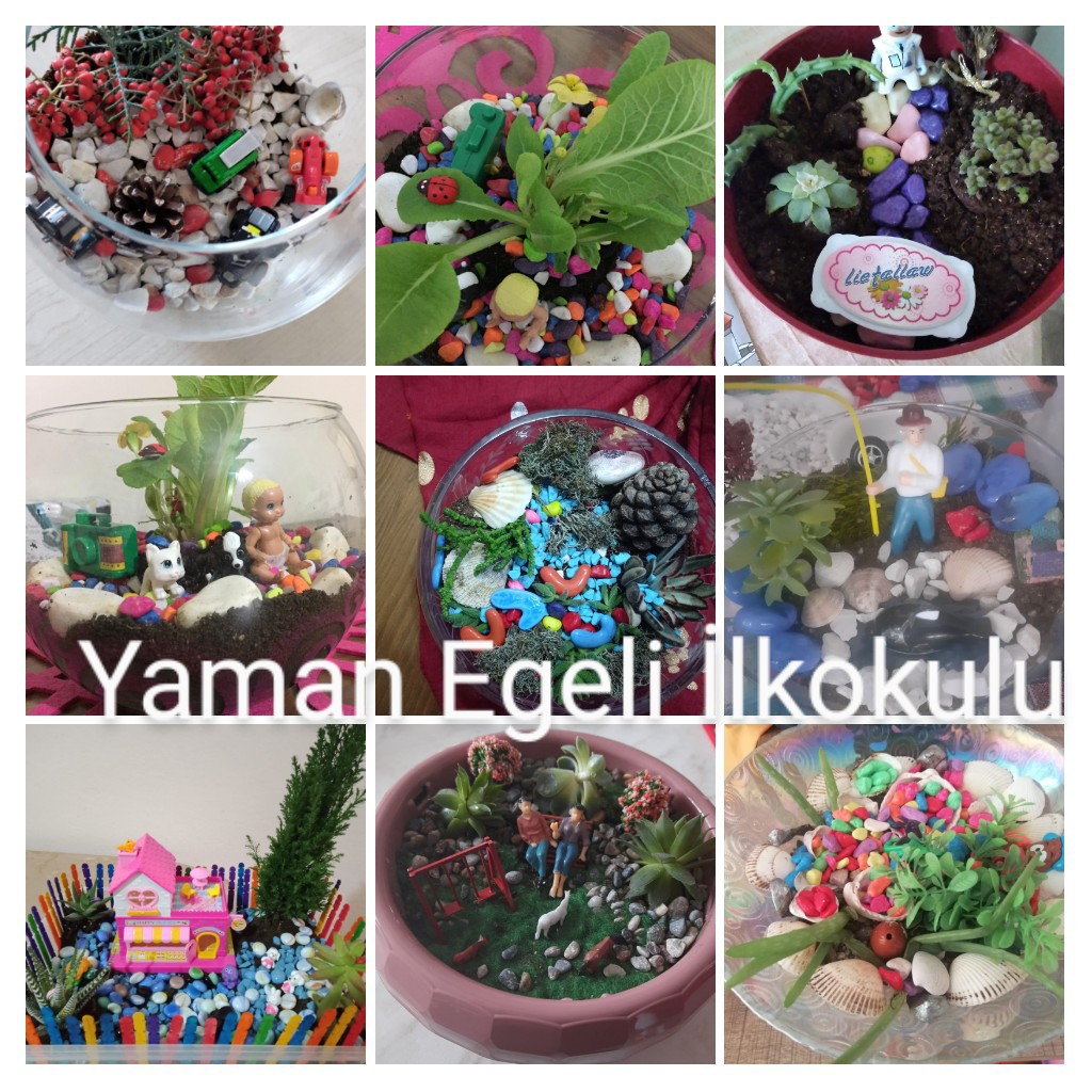 DOĞA GÜNLÜKLERİ PROJESİ by Sevinç Karadağ - Ourboox.com