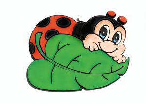 Il prato…un mondo meraviglioso by 2 C - Ourboox.com