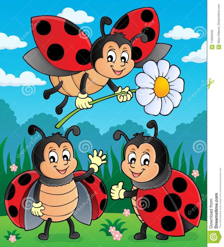 Il prato…un mondo meraviglioso by 2 C - Ourboox.com