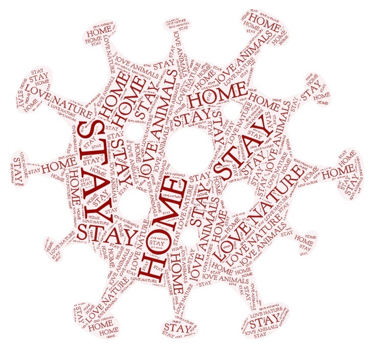 ŞUBAT AYI OYUNLAŞTIRMA ARAÇLARIMIZ VE ÖRNEKLER by nurşen coşkun - Ourboox.com