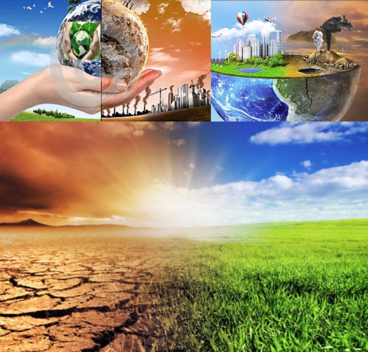 (المنظومات البيئيه (للصف السادس by Sofia Fawaz Assi - Ourboox.com