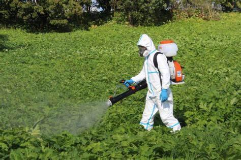 (المنظومات البيئيه (للصف السادس by Sofia Fawaz Assi - Ourboox.com