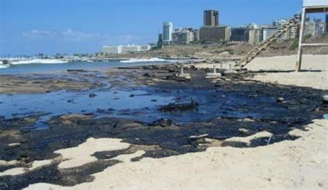 (المنظومات البيئيه (للصف السادس by Sofia Fawaz Assi - Ourboox.com