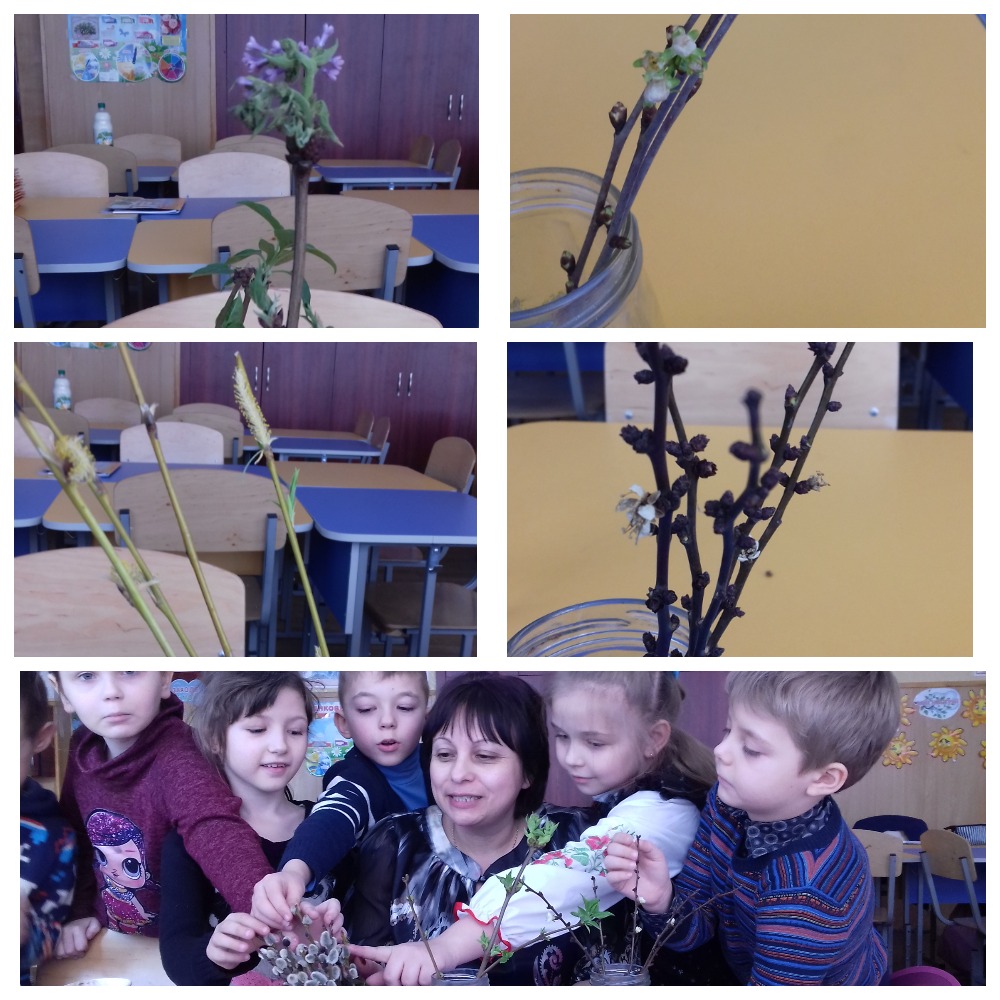 Шляхи формування життєвої компетентності дітей молодшого шкільного віку “Вчити вчитися” by Inna Proidakowa - Illustrated by Методичне об