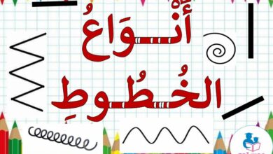 أنواع الخطوط by Naseem Burqan - Ourboox.com