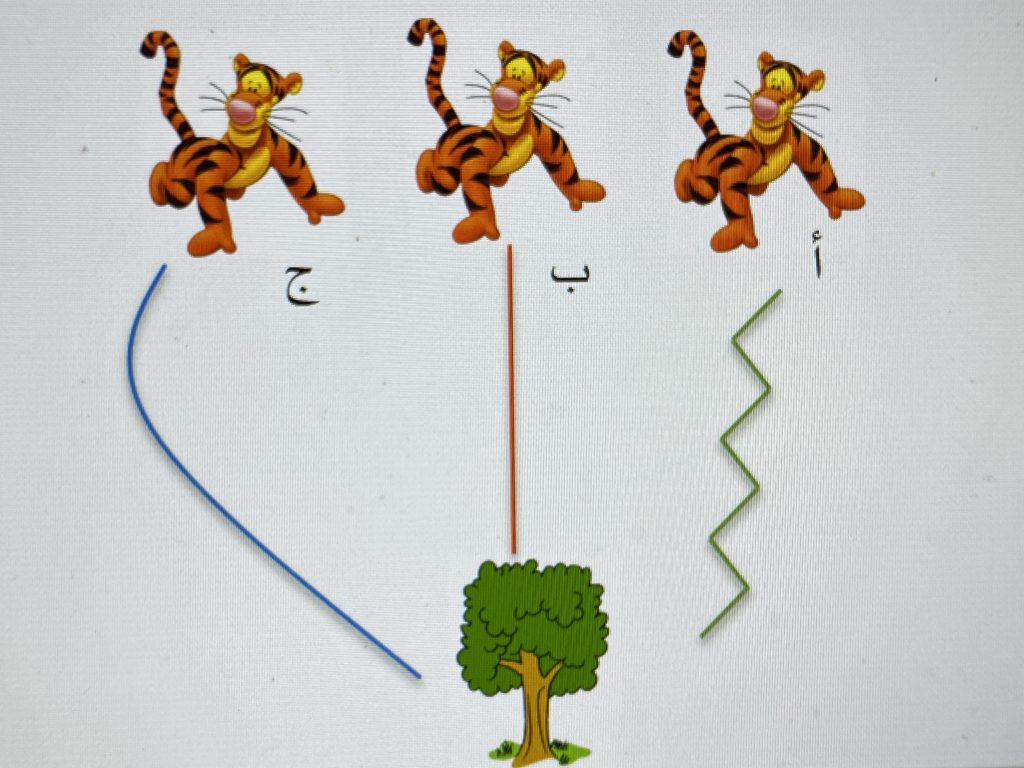 أنواع الخطوط by Naseem Burqan - Ourboox.com