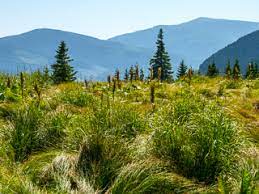 v by vasek - Illustrated by майстер практичного водіння - Ourboox.com