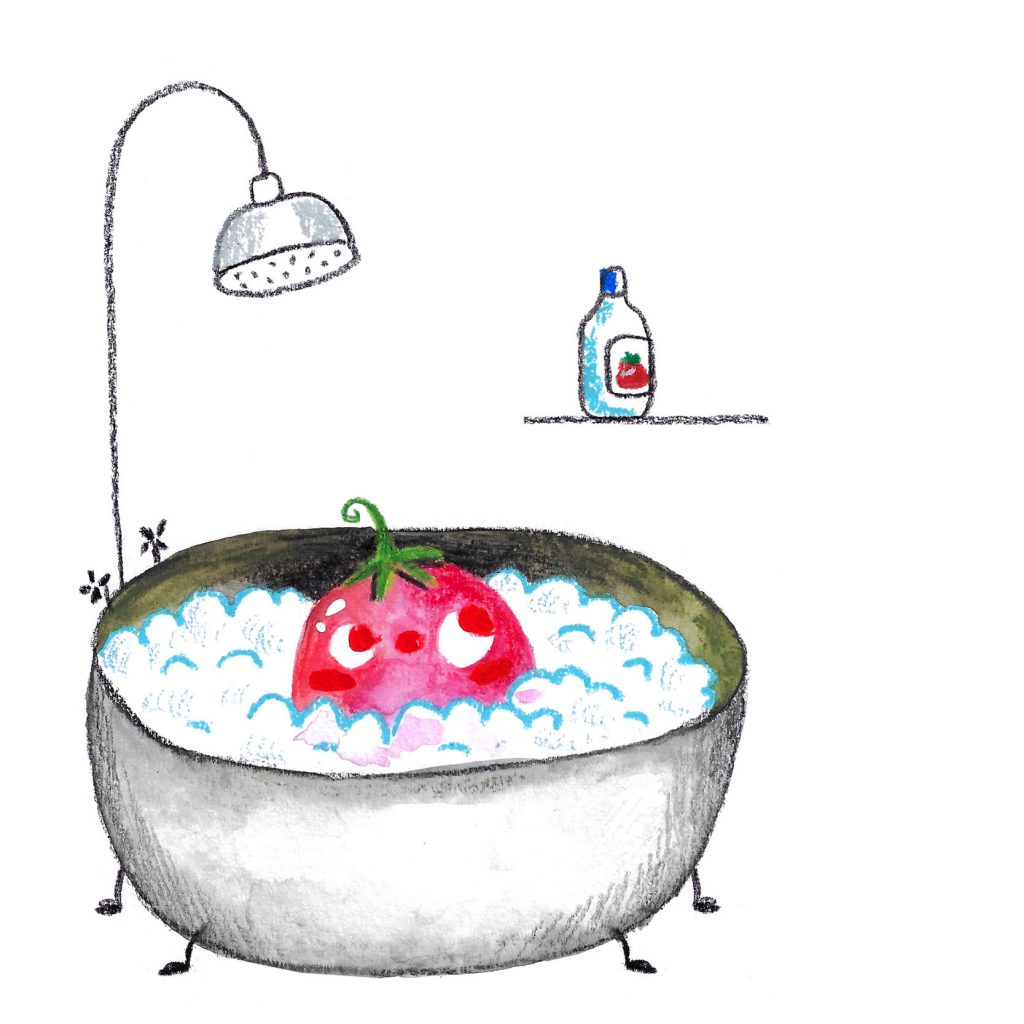 My Favorite Tomato by Shirley Waisman - Illustrated by Shirley Waisman - Ourboox.com