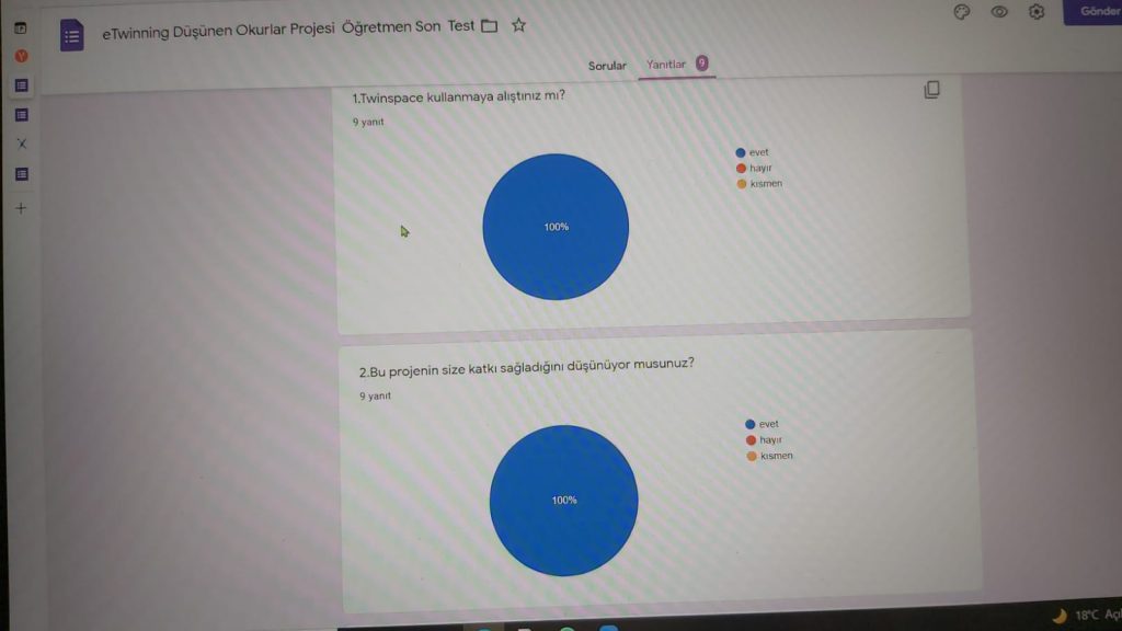 Düşünen Okurlar Projesi Öğretmen için Son Test Sonuçları by Selda Şen - Illustrated by Selda ŞEN - Ourboox.com