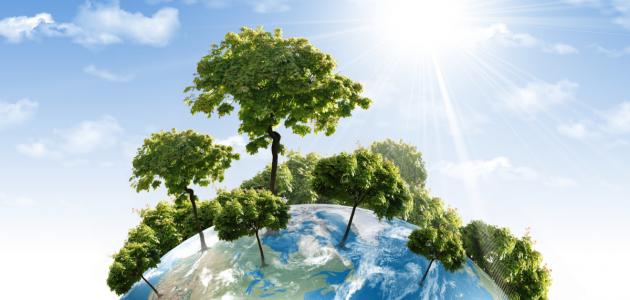 البيئه الحياتيه by FATMA ABUSHQRA - Ourboox.com