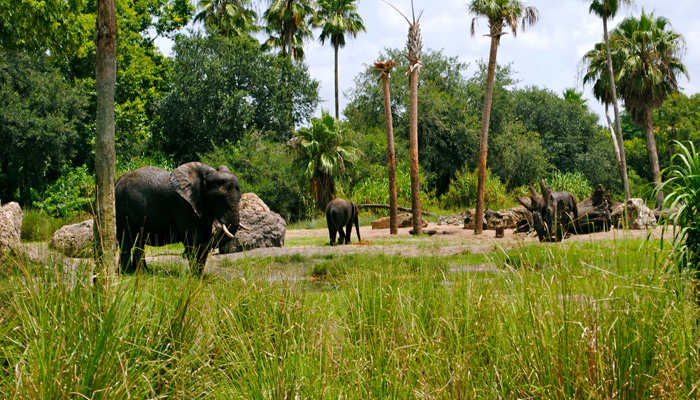 البيئه الحياتيه by FATMA ABUSHQRA - Ourboox.com