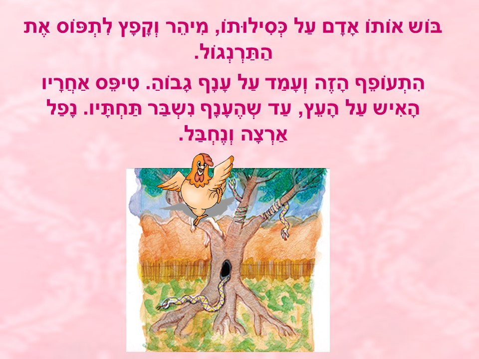 סדנה ליצירת ספר דיגיטלי by moria - Ourboox.com