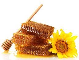 Будова вулику by Bashinska Marina - Illustrated by викладач спеціальних дисциплін - Ourboox.com