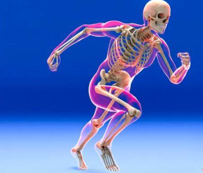 Il sistema scheletrico by Lucia Gallo - Ourboox.com