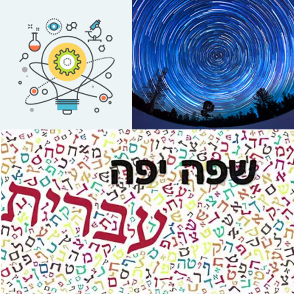 פרויקט by ori - Ourboox.com