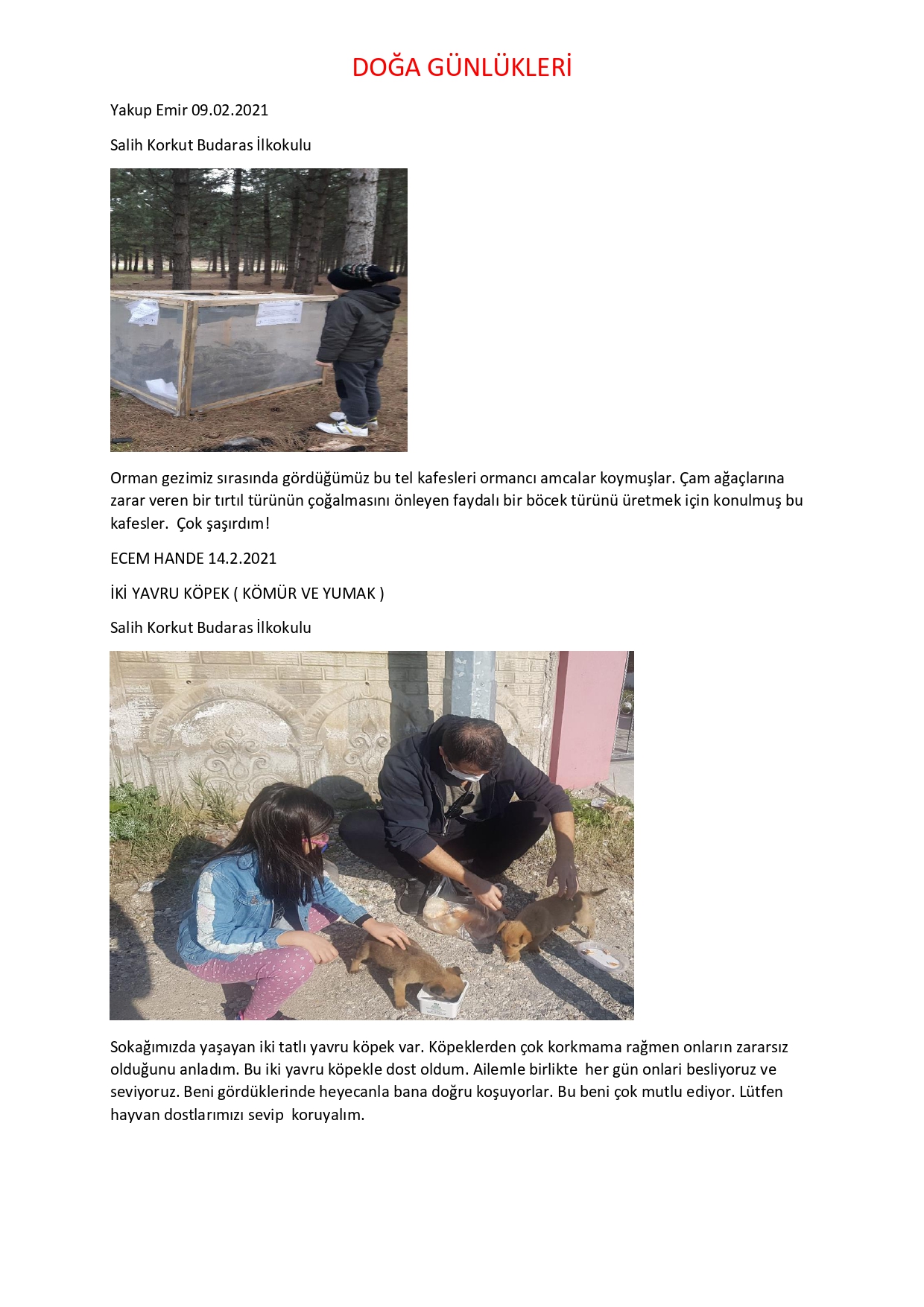 DOĞA GÜNLÜKLERİ by Sevinç KARADAĞ - Fatma ÜZALP - Ourboox.com