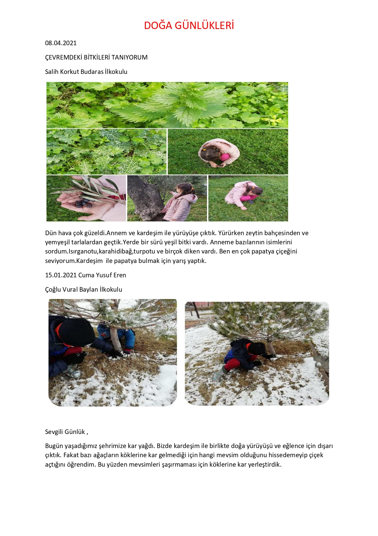 DOĞA GÜNLÜKLERİ by Sevinç KARADAĞ - Fatma ÜZALP - Ourboox.com