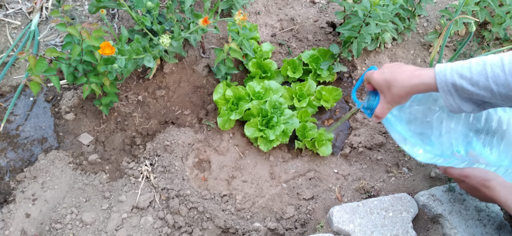 ENJOY LIFE & HAPPINESS by humarauf - Ourboox.com