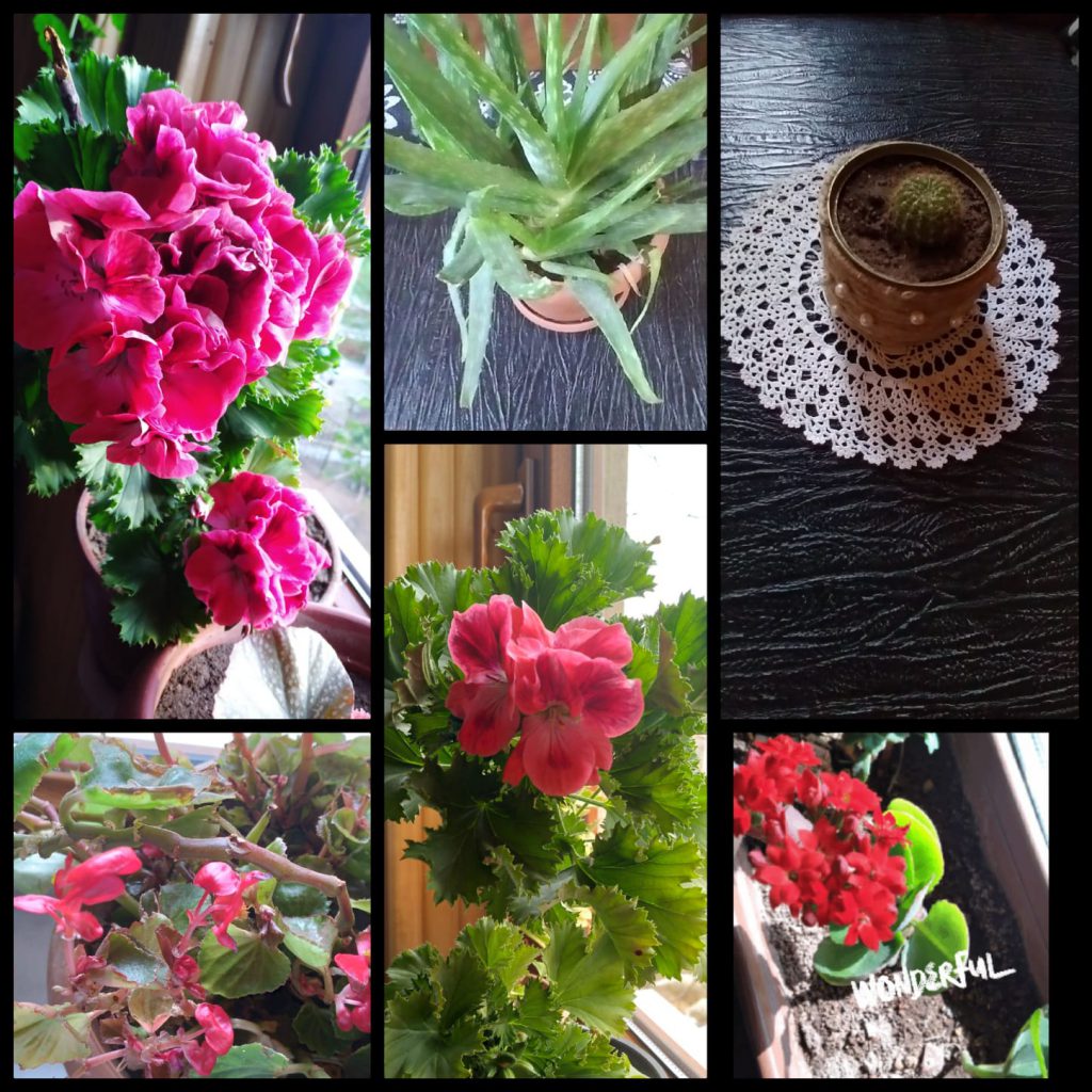 ENJOY LIFE & HAPPINESS by humarauf - Ourboox.com