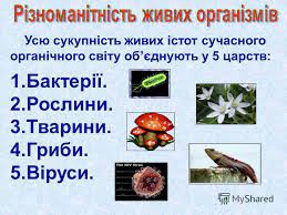 Властивості живого by Margo - Illustrated by Лобач Маргарита - Ourboox.com