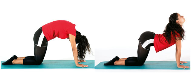 Schiena sana e Postura corretta by Gabriella Grasso - Illustrated by non solo fitnesss - Ourboox.com