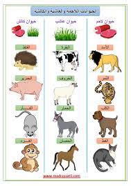 البيئة الحياتية by ayaslama - Ourboox.com