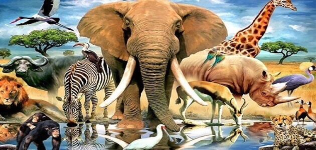 البيئة الحياتية by ayaslama - Ourboox.com